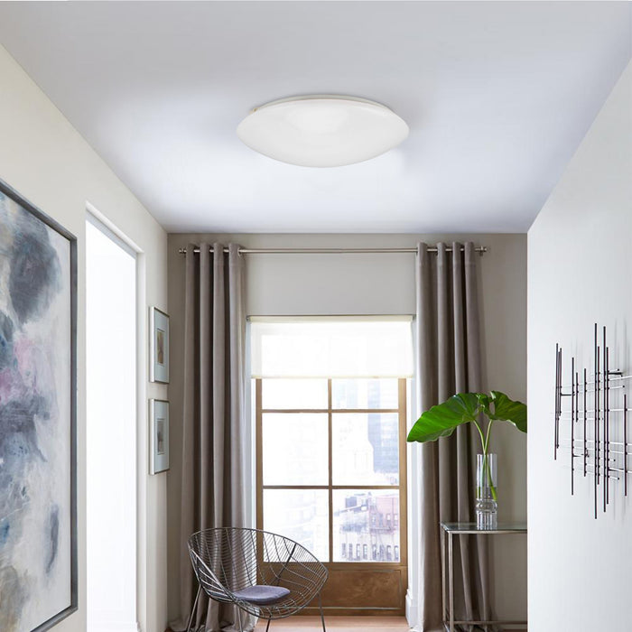 BCL1011-12LED