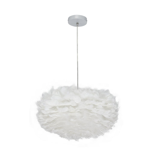 N-1223-19-WH