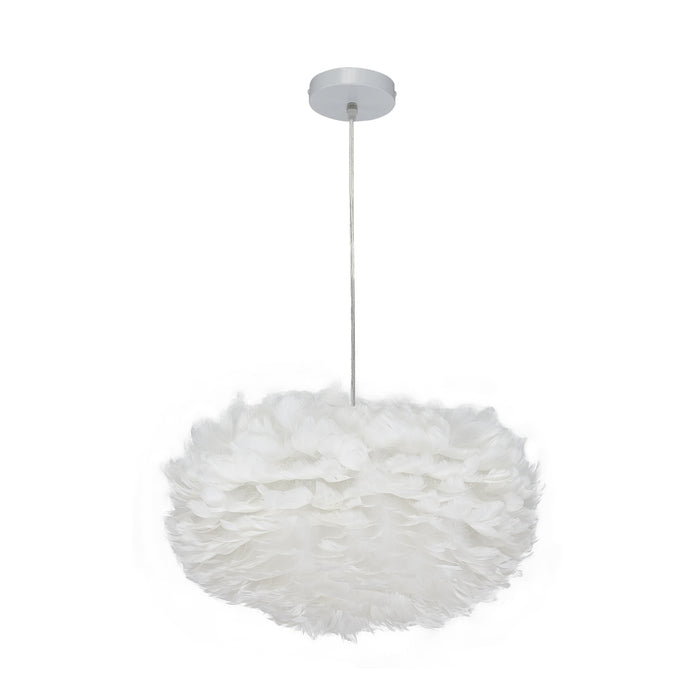 N-1223-19-WH