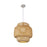 N-1231-17-WH